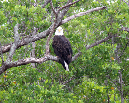 Everglades National Park