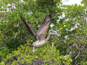 Everglades National Park