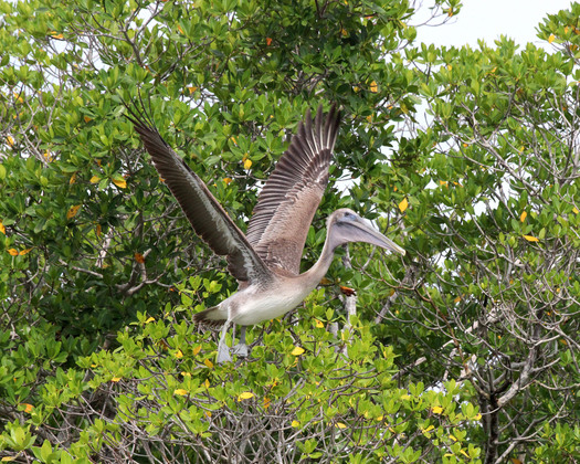 Everglades National Park