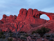 Arches National Park