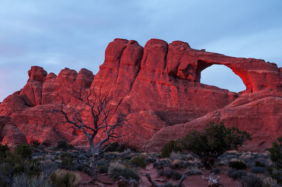 Arches National Park