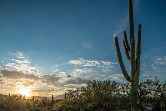 Sabino Canyon National Recreation Area