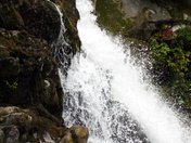 Great Smokey Mountains National Park
