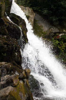 Great Smokey Mountains National Park