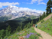 Mt.Rainier National Park