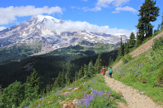 Mt.Rainier National Park