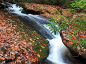 Great Smoky Mountains National Park