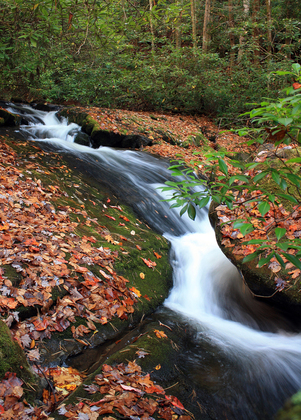 Great Smoky Mountains National Park
