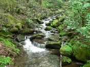 Smokey Mountains National Park