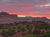 Capitol Reef National Park