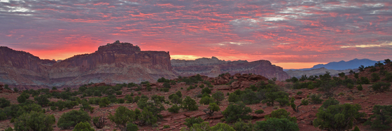 Capitol Reef National Park
