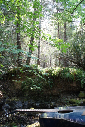 Siskiyou National Forest