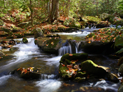 Great Smoky Mountains National Park