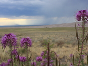 Great Sand Dunes National Park and Preserve