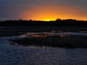 Bombay Hook National Wildlife Refuge