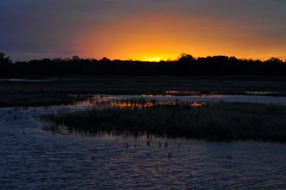 Bombay Hook National Wildlife Refuge