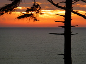 Olympic National Park