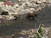 GLACIER NATIONAL PARK