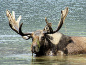 White River National Forest