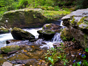 Chattahoochee Oconee national forest