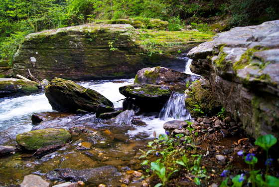 Chattahoochee Oconee national forest
