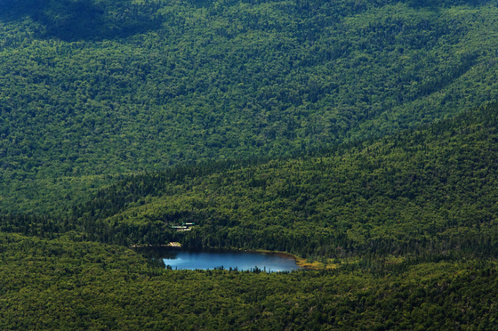 White Mountain National Forest