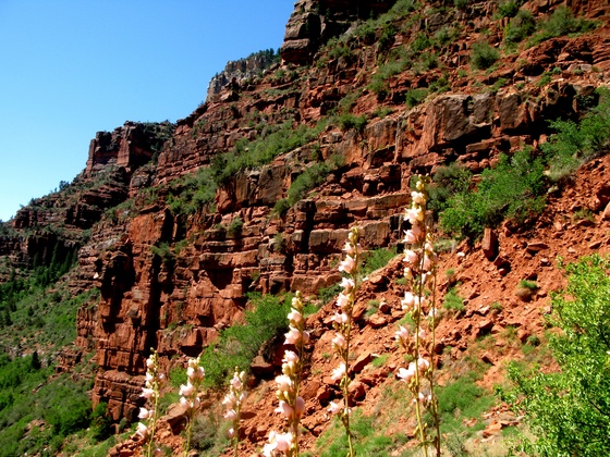 Grand Canyon National Park