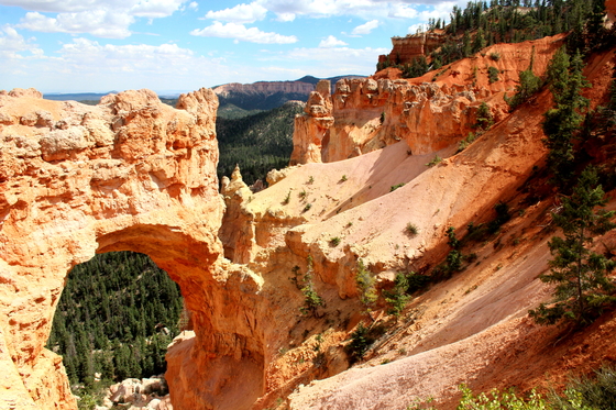 Bryce Canyon