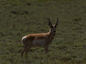 Grand Teton National Park