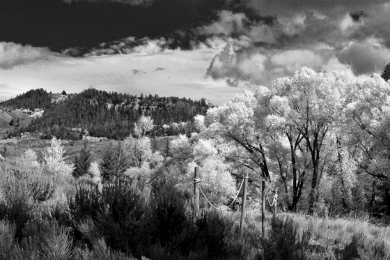 Flattops Wilderness