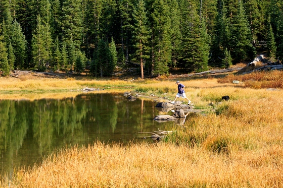 Flattops Wilderness
