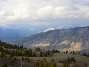 Yellowstone National Park