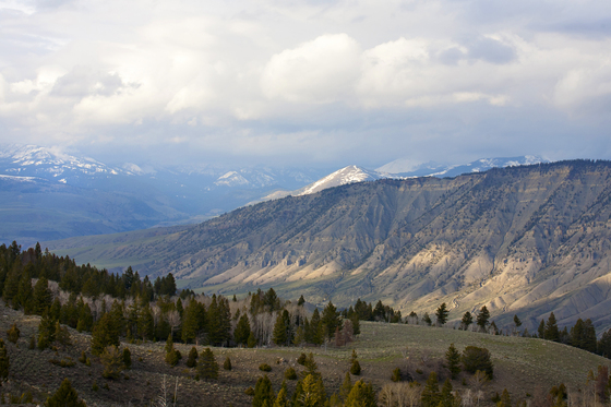 Yellowstone National Park