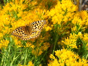 Grand Teton National Park