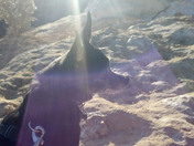 Grand Canyon National Park