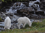 Glacier National Park