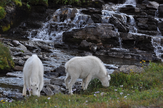 Glacier National Park