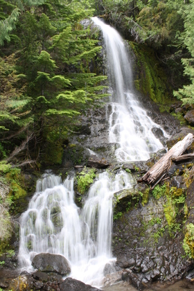 Mt Rainer National Park