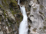Mt Rainer National Park