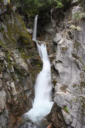 Mt Rainer National Park