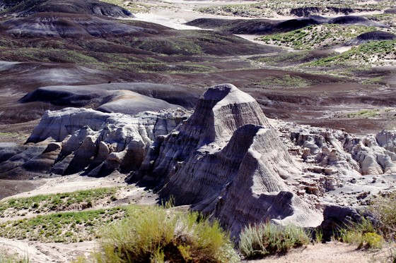 Petrified Forest National Park