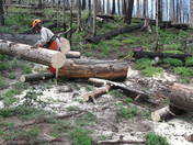 Santa Fe National Forest