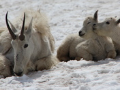 Glacier National Park