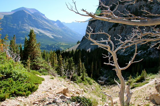 Glacier National Park