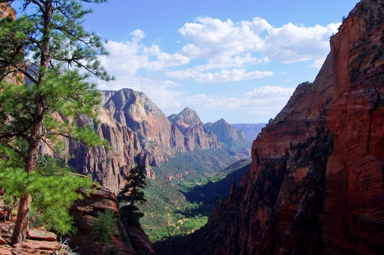 Zion National Park