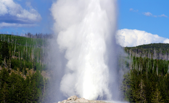 Yellowstone