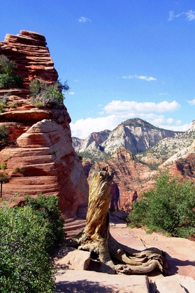 Zion National Park