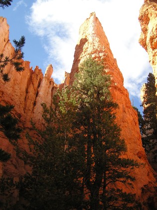 Bryce Canyon