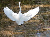 Everglades National Park