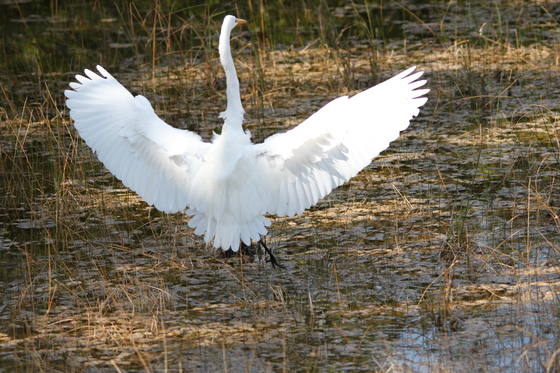 Everglades National Park
